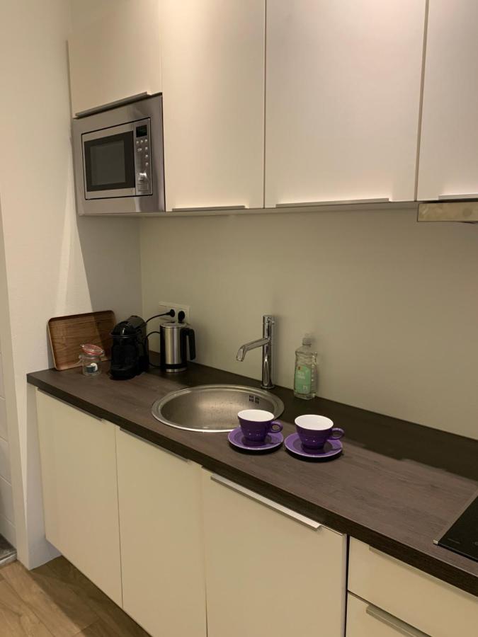 Dorpslogies Adema Bed & Breakfast Earnewâld Екстериор снимка